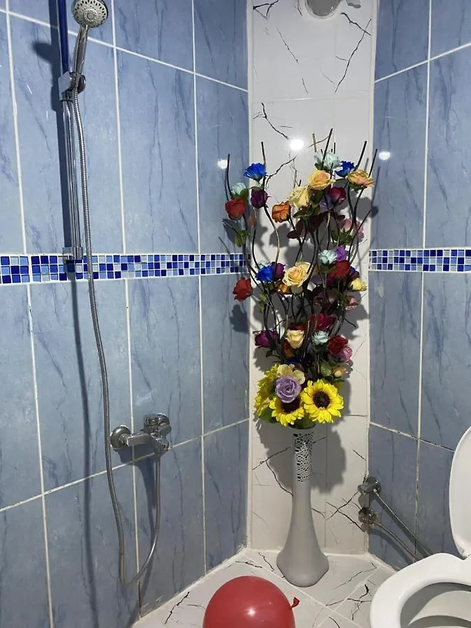 Sultanahmet Blue Viaport Hotel İstanbul