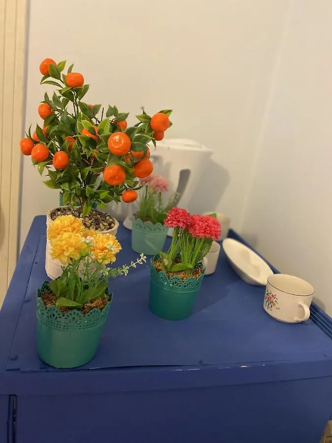 Sultanahmet Blue Viaport Hotel İstanbul Türkiye