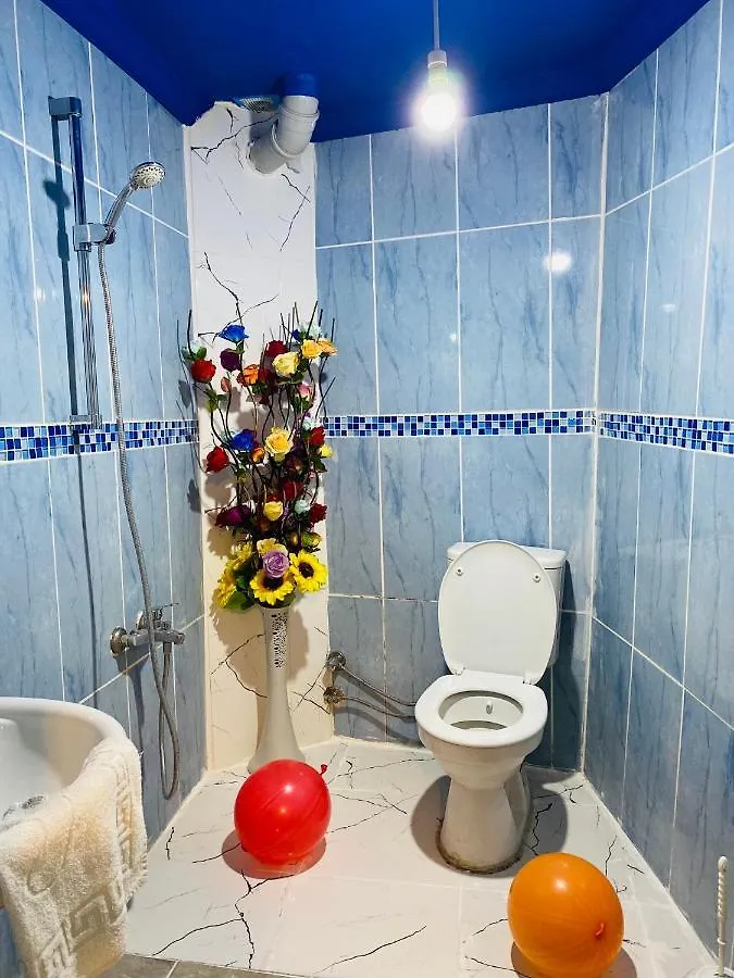Sultanahmet Blue Viaport Hotel İstanbul 0*,