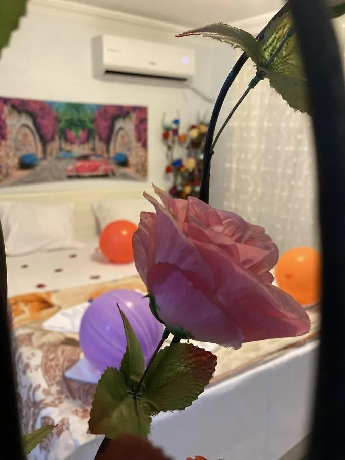 Sultanahmet Blue Viaport Hotel Istanbul